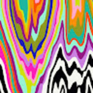 Meet your Posher, Dez